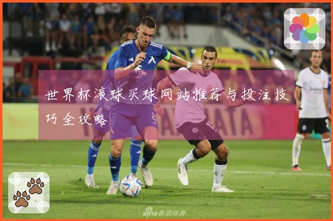 世界杯滚球买球网站推荐与投注技巧全攻略