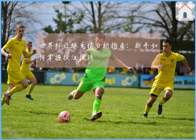 世界杯让球竞猜分析指南：新手如何掌握投注技巧