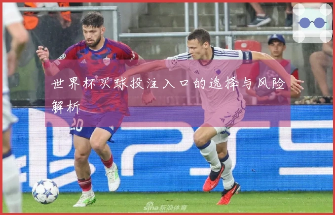 世界杯买球投注入口的选择与风险解析