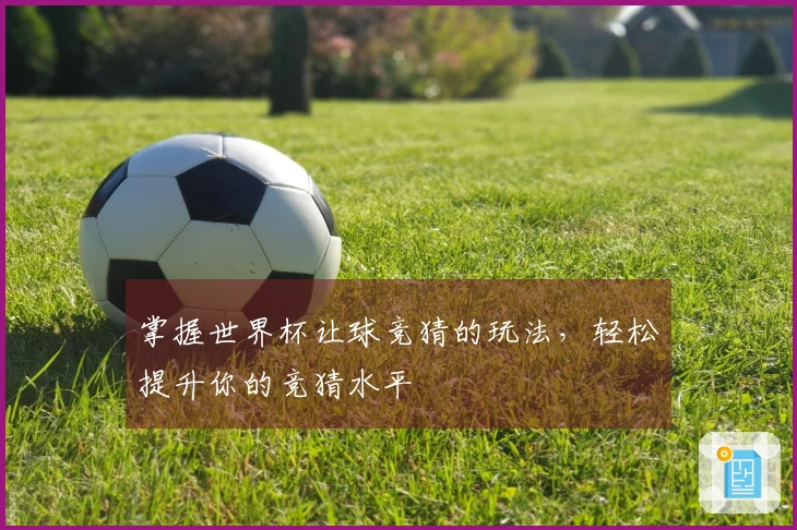 掌握世界杯让球竞猜的玩法，轻松提升你的竞猜水平