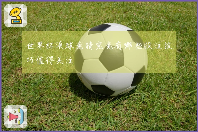世界杯滚球竞猜究竟有哪些投注技巧值得关注
