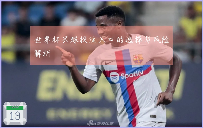 世界杯买球投注入口的选择与风险解析