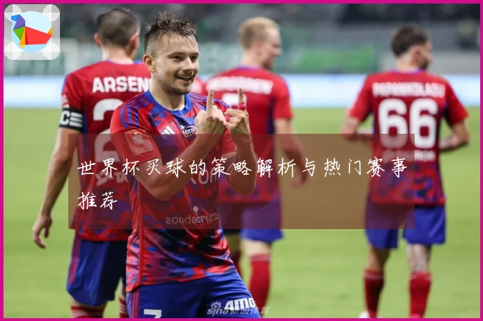 世界杯买球的策略解析与热门赛事推荐