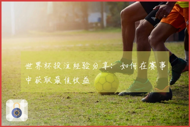 世界杯投注经验分享：如何在赛事中获取最佳收益